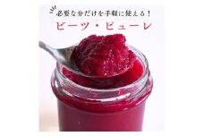 レッド パワー ビーツ ピューレ （ レシピ付き ） 120g × 3個 | 加工品 瓶詰 野菜 ビーツ ピューレ ビーツピューレ 栽培期間中農薬不使用 レシピ付き レシピ 長野県 信州 南信州 飯田市 R11