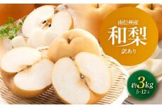 南信州産 訳あり 和梨 約3kg | 果物 フルーツ 果実 和梨 梨 幸水 豊水 南水 あきづき 訳あり わけあり 長野県 飯田市 信州