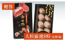 市田柿 化粧箱 大粒 厳選 8粒 ＪＡみなみ信州ＤＭセンター | 柿 かき 干し柿 干しがき 市田柿 ドライフルーツ 甘い やわらか 果物 フルーツ 信州 南信州 送料無料 ふるさと納税 長野県 飯田市