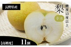 梨 幸水 3L クラスの 大玉 で 糖度 13度 以上 11個 入り | 果物 くだもの フルーツ  梨 なし 新鮮 信州 贈答用 プレゼント 贈り物 長野県 飯田市