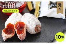 【のし付き】長野・信州の特産品 選りすぐり 市田柿 10個セット ご自宅用 | 果物 くだもの フルーツ 柿 かき 市田柿 干し柿 長野県 南信州 飯田市