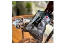 南信州産 市田柿 バラふぞろい 計600g　(300g×2袋) | 加工品 ドライフルーツ 果物 フルーツ 柿 市田柿 干し柿 バラ セット 長野県 飯田市 信州