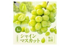 大人気! 長野県産 シャインマスカット 約1kg 秀品 〈2025年9月中旬～11月上旬発送〉| 果物 くだもの フルーツ ぶどう ブドウ 葡萄 長野県 信州 南信州 飯田市