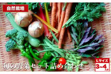 自然栽培 旬の野菜セット 詰め合わせ Lサイズ 3～4人分 くわのみ農園 ｜ 野菜 セット 詰め合わせ 自然栽培 農薬不使用 やさい サラダ 採れたて とれたて 新鮮 季節限定 長野県 飯田市 信州