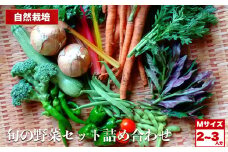 自然栽培 旬の野菜セット 詰め合わせ Mサイズ 2～3人分 くわのみ農園 ｜ 野菜 セット 詰め合わせ 自然栽培 農薬不使用 旬 やさい サラダ 採れたて とれたて 新鮮 季節限定 長野県 飯田市 信州