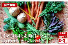 【定期便 3回】自然栽培 旬の野菜セット 詰め合わせ Mサイズ 2～3人分 くわのみ農園｜ 定期 野菜 セット 詰め合わせ 自然栽培 農薬不使用 やさい サラダ 採れたて とれたて 新鮮 季節限定 長野県 飯田市 信州