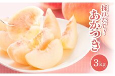 【2025年先行受付】 南信州産 桃 あかつき 約3kg 1箱 | 桃 もも あかつき 長野県 産地直送 ジューシー くだもの 果物 フルーツ デザート 長野県 飯田市