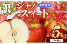 南信州産 シナノスイート 訳あり 約5kg 10～18玉 ＪＡみなみ信州ＤＭセンター飯田市 | シナノスイート 林檎 りんご アップル つがる ふじ 果物 フルーツ 南信州 送料無料 ふるさと納税 長野県 飯田市