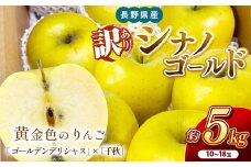 南信州産 シナノゴールド 訳あり 約5kg 10～18玉 ＪＡみなみ信州ＤＭセンター飯田市 | 林檎 りんご リンゴ シナノゴールド ジューシー 果汁 果物 フルーツ 南信州 送料無料 ふるさと納税 長野県 飯田市