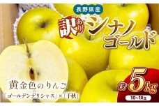 南信州産 シナノゴールド 訳あり 約5kg 10～18玉 ＪＡみなみ信州ＤＭセンター飯田市 | 林檎 りんご リンゴ シナノゴールド ジューシー 果汁 果物 フルーツ 南信州 送料無料 ふるさと納税 長野県 飯田市
