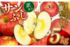 南信州産 サンふじ 訳あり 約5kg 10～20玉 ＪＡみなみ信州ＤＭセンター飯田市 | りんご リンゴ 林檎 サンふじ さんふじ 果物 ジューシー フルーツ 南信州 送料無料 ふるさと納税 長野県 飯田市