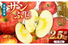 サンふじ　約2.5kg　9～10玉 | りんご 林檎 リンゴ サンふじ 果物 フルーツ ジューシー 信州 南信州 送料無料 ふるさと納税 長野県 飯田市