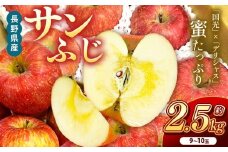 サンふじ　約2.5kg　9～10玉 | りんご 林檎 リンゴ サンふじ 果物 フルーツ ジューシー 信州 南信州 送料無料 ふるさと納税 長野県 飯田市