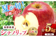 南信州産 シナノリップ 秀品 約5kg 16～20玉 ＪＡみなみ信州ＤＭセンター飯田市 | シナノリップ りんご 林檎 リンゴ 果物 フルーツ 果汁 信州 南信州 送料無料 ふるさと納税 長野県 飯田市