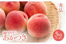 【南信州産】あかつき　約5kg 　秀品 | あかつき 桃 もも モモ 果物 くだもの フルーツ ジューシー 信州 南信州 送料無料 ふるさと納税 長野県 飯田市