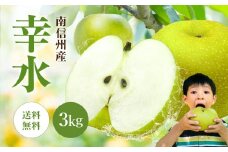 南信州産 梨【幸水】3kg | 果物 フルーツ 果実 なし 和梨 梨 幸水 長野県 飯田市 信州