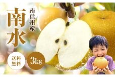南信州産 梨【南水】3kg | 果物 フルーツ 果実 なし 和梨 梨 南水 長野県 飯田市 信州