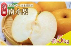 【9月上旬から発送予定】 南信州 生まれ の ジューシー で 甘い 梨 南水梨 約5kg 光センサー 選別 秀品 | 長野県 飯田市