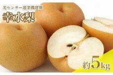 【8月中旬より発送予定】 南信州産 幸水 梨 約5kg 光センサー 選果機 選別 旬 の 甘い 完熟 梨 | 長野県 飯田市