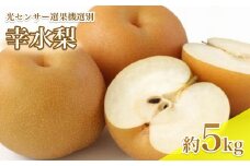 【8月中旬より発送予定】 南信州産 幸水 梨 約5kg 光センサー 選果機 選別 旬 の 甘い 完熟 梨 | 長野県 飯田市