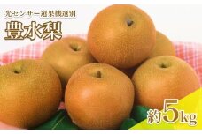 【9月上旬から発送予定】 南信州産 豊水 梨 約5kg 秋 の 味覚 光センサー 選果機 選別品 | 長野県 飯田市