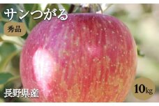 りんご の 一番手! 長野県産 りんご ( サンつがる ) 約10kg 秀品 〈2025年9月上旬～9月中旬発送〉| 果物 くだもの フルーツ りんご サンつがる 林檎 リンゴ 長野県 信州 南信州 飯田市