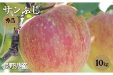 太陽の光をたっぷりと浴びた 長野県産 りんご ( サンふじ ) 約10kg 秀品 ＜2025年11月下旬～12月中旬発送＞ | 果物 くだもの フルーツ サンふじ サンフジ りんご リンゴ 林檎 長野県 信州 南信州 飯田市