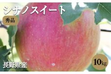 香りも良く食べやすい! 長野県産 りんご シナノスイート 約10kg 秀品 ＜2025年10月中旬～11月中旬発送＞| 果物 くだもの フルーツ りんご リンゴ 林檎 シナノスイート 長野県 信州 南信州 飯田市