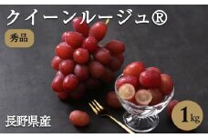産地厳選! 長野県産 クイーンルージュ® 約1kg 秀品 〈2025年10月中旬～11月中旬発送〉 | 果物 くだもの フルーツ ぶどう ブドウ 葡萄 クイーンルージュ® 種なし 長野県 信州 南信州 飯田市