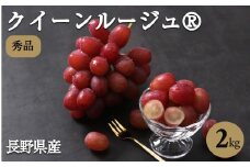 産地厳選! 長野県産 クイーンルージュ® 約2kg 秀品 〈2025年10月中旬～11月中旬発送〉 | 果物 くだもの フルーツ ぶどう ブドウ 葡萄 クイーンルージュ® 種なし 長野県 信州 南信州 飯田市