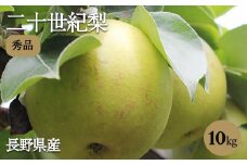 滴る程にジューシーな 梨 長野県産 なし 二十世紀 約10kg 秀品〈2025年9月上旬～9月末発送〉| 果物 くだもの フルーツ なし 梨 二十世紀 長野県 信州 南信州 飯田市