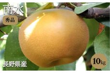 ジューシーで甘い! 長野県産 なし 南水 約10kg 秀品 〈2025年9月中旬～10月中旬発送〉| 果物 くだもの フルーツ 南水 梨 なし 南水 長野県 信州 南信州 飯田市