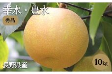 【満員御礼】長野県産 溢れる果汁 ジューシーな 梨 幸水 豊水 約10kg 秀品 〈2025年8月下旬～9月下旬発送〉| 果物 くだもの フルーツ 梨 なし 幸水 豊水 長野県 信州 南信州 飯田市