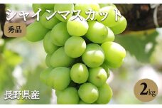 氷温貯蔵 長野県産 シャインマスカット 約2kg 秀品 〈2025年11月上旬～12月下旬発送〉| 果物 くだもの フルーツ シャインマスカット ぶどう ブドウ 葡萄 長野県 信州 南信州 飯田市