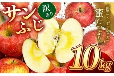 訳あり品 長野県産 サンふじ 約10kg ＜2026年1月上旬～2月上旬発送＞ | 果物 くだもの フルーツ 訳あり サンふじ サンフジ りんご リンゴ 林檎 長野県 信州 南信州 飯田市