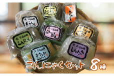 こんにゃく 8種類 セット ｜ 蒟蒻 こんにゃく タレ付き 刺身 しらたき 麺 つきこんにゃく 糸こんにゃく 小玉 ちくわ風 手作り お取り寄せ バラエティ セット 詰め合わせ 長野県 飯田市