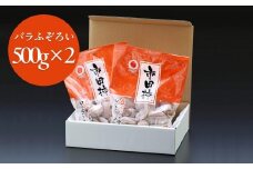 市田柿 バラ ふぞろい 500g パック × 2袋 ( 約1kg ) ＪＡみなみ信州ＤＭセンター | 柿 かき 干し柿 干しがき 市田柿 信州 国産 特産品 ドライフルーツ 甘い 果物 フルーツ くだもの 送料無料 ふるさと納税 長野県 飯田市