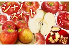 南信州産 りんご シナノスイート 約5kg 【2025年9月～10月発送】 | 果物 くだもの フルーツ シナノスイート 林檎 りんご リンゴ 信濃 新鮮 長野県 信州 南信州 飯田市