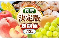 飯田市 定期便【決定版】| フルーツ 果物 お菓子 スイーツ 肉 焼肉 干し柿 市田柿 野菜 とうもろこし 桃 梨 りんご シャインマスカット 信州 詰め合わせ セット 定期 長野県 飯田市