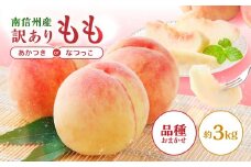 【2026年先行予約】南信州産 訳あり 桃 約3kg | 桃 もも あかつき なつっこ 果物 フルーツ 果実 完熟桃 訳あり わけあり 長野県 飯田市 信州