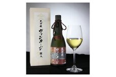 【 諏訪五蔵 】 大吟醸 ヴィンテージ20年貯蔵 720ml ／ 麗人酒造 日本酒 お酒 大吟醸酒 古酒 信州 長野県 諏訪 諏訪市 【37-06】