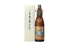 【 諏訪五蔵 】 大吟醸 ヴィンテージ20年貯蔵 1800ml ／ 麗人酒造 日本酒 お酒 大吟醸酒 古酒 信州 長野県 諏訪 諏訪市 【37-07】