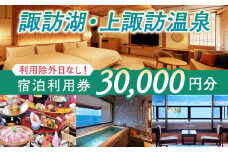 【30,000円分】宿泊利用券【諏訪湖・上諏訪温泉】旅行 旅館 チケット 食事 温泉 旅行クーポン　信州　諏訪　長野【44-07】