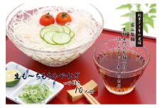 【先行受付】《夏季限定》生も～ちもち ひやむぎ(250gつゆ付き)×5袋セット／ 盛谷製麺 7月～9月上旬配送 冷麦 冷や麦 生麺 めん 麺類 セット お取り寄せ おすすめ おすすめひやむぎ おすすめ冷麦 信州 長野県 諏訪 諏訪市 【35-02】