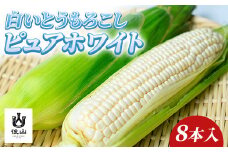 『先行受付』《数量限定》純白のとうもろこし！2025年8月発送！諏訪の秘境、後山で生まれたクリーミーな果汁が楽しめるピュアホワイト8本入り約3.3kg／ Suwa後山ブランド化プロジェクト とうもろこし トウモロコシ コーン 夏野菜 野菜 冷蔵 信州 長野県 諏訪市 諏訪 【67-02】
