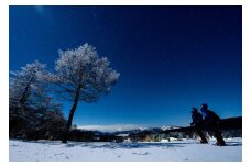 『霧ヶ峰ナイトスノーシューで神秘的な雪原の夜を体験しよう』ツアー参加券２名様分／ 体験 アウトドア チケット 参加型 子供 ツアー 参加券 観光 長野 諏訪 星空 観察 学び【88-03】