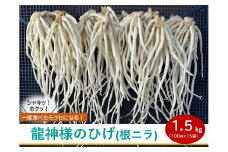 【 期間限定 (2025年3月10日まで受付)  】龍神様のひげ  ( 根ニラ )  1,500g (100g×15袋) ／ 株式会社 すわファーム 野菜 香味野菜 根菜 無農薬 高原野菜【91-02】