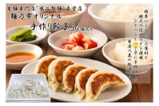 【 盛谷製麺 直営店 】 麺乃雫 オリジナル 手作り 餃子 ( 25g×30個入り ) ／ 盛谷製麺 ぎょうざ ギョウザ 餃子 冷凍 冷凍ぎょうざ 冷凍ギョウザ 冷凍餃子 惣菜 おかず お取り寄せ 信州 長野県 諏訪 諏訪市 【35-03】 