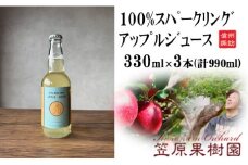 100％スパークリングアップルジュース 3本入り(330ml×3本)／ 笠原果樹園 スパークリングアップルジュース 炭酸入り 炭酸 瓶 瓶詰め 長野県産 産地直送 ギフト プレゼント りんご リンゴ 林檎 アップル おすすめ おすすめりんごジュース おすすめリンゴジュース 信州 長野県 諏訪市 諏訪 【80-04】