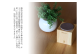 ※この写真は、ヒノキ（ブロック）です。